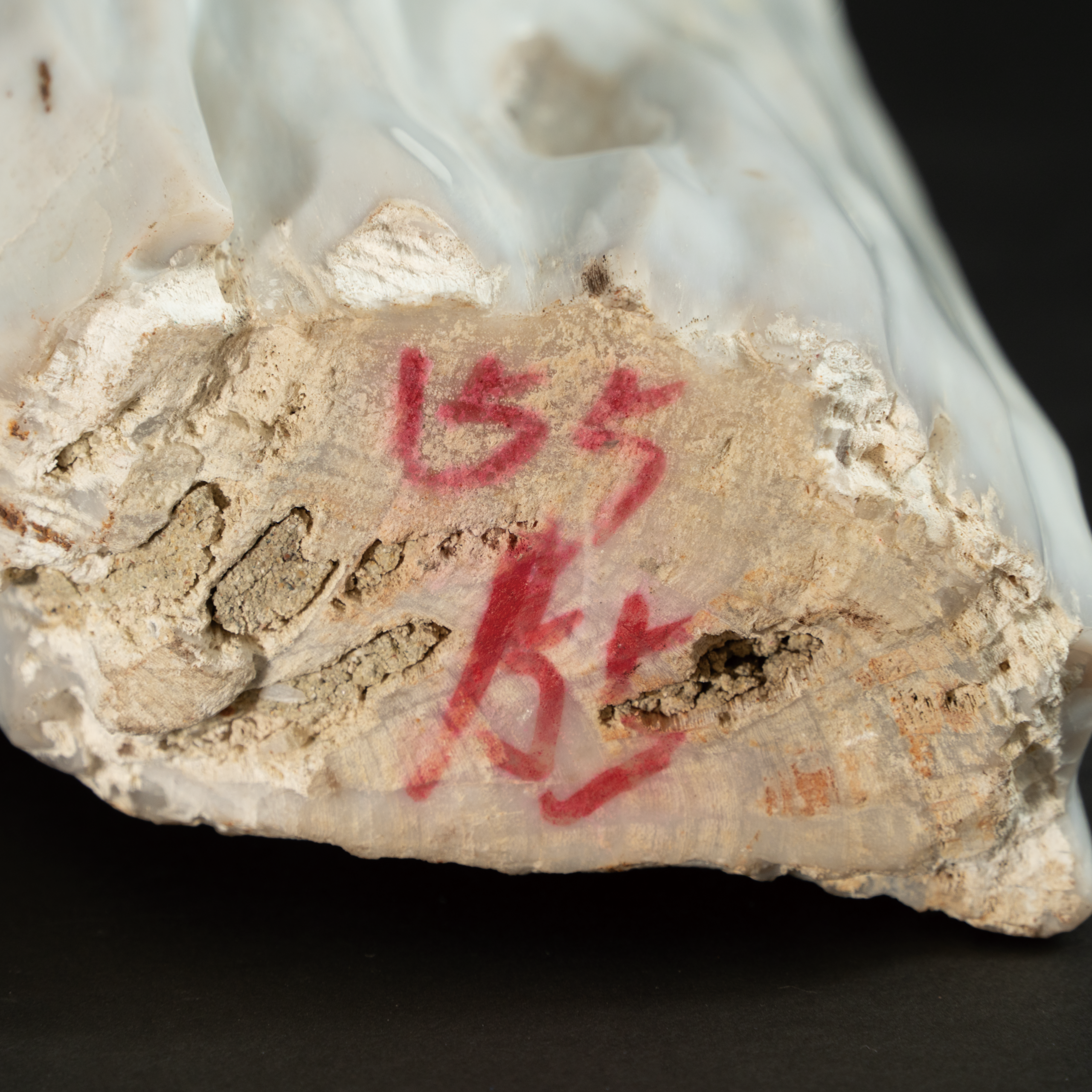 Lot 052 A LARGE PETRIFIED WOOD SCHOLAR'S ROCK
QING DYNASTY (1644–1911)
清 木化石供 - Image 3