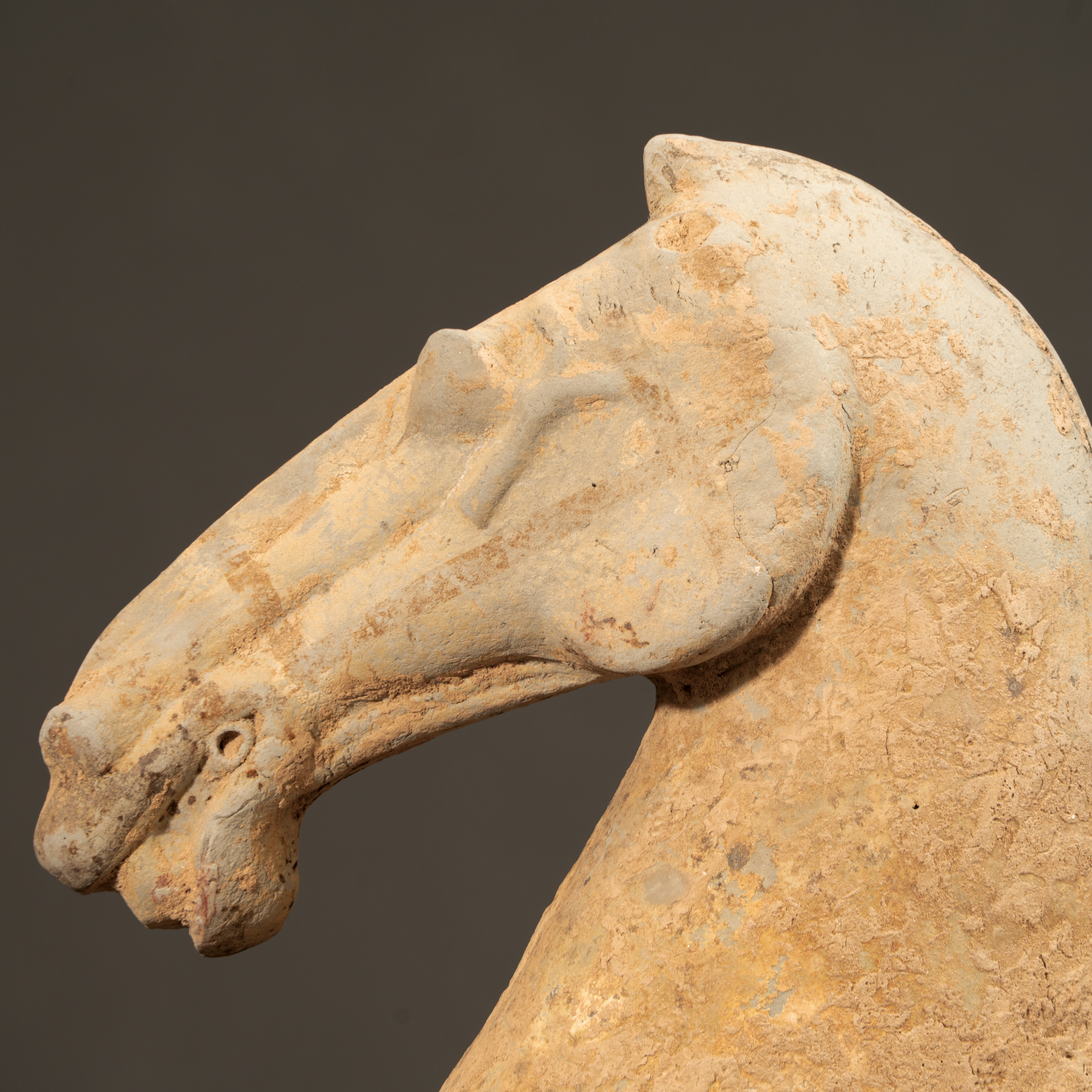 Lot 061 A POTTERY FIGURE OF A RECLINING HORSE
HAN DYNASTY (206 BC–AD 220)
汉 陶马 - Image 5